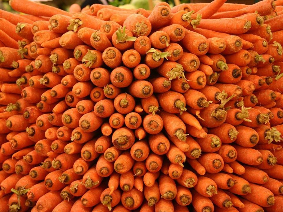 ������� ������� �������: ��� ������ �������� ����� ����� �� �������