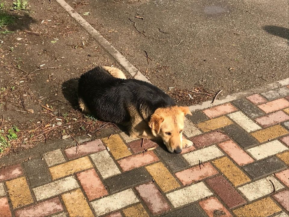 ���������� ��������� ��������� ����� �� ����� ����������� �� �����������