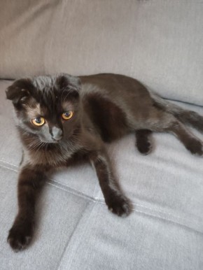 ����� �������, ��� �� ������ ���� �������� ����� 7 ����