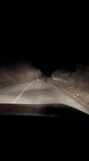 Редкую кавказскую рысь заметили в Ингушетии