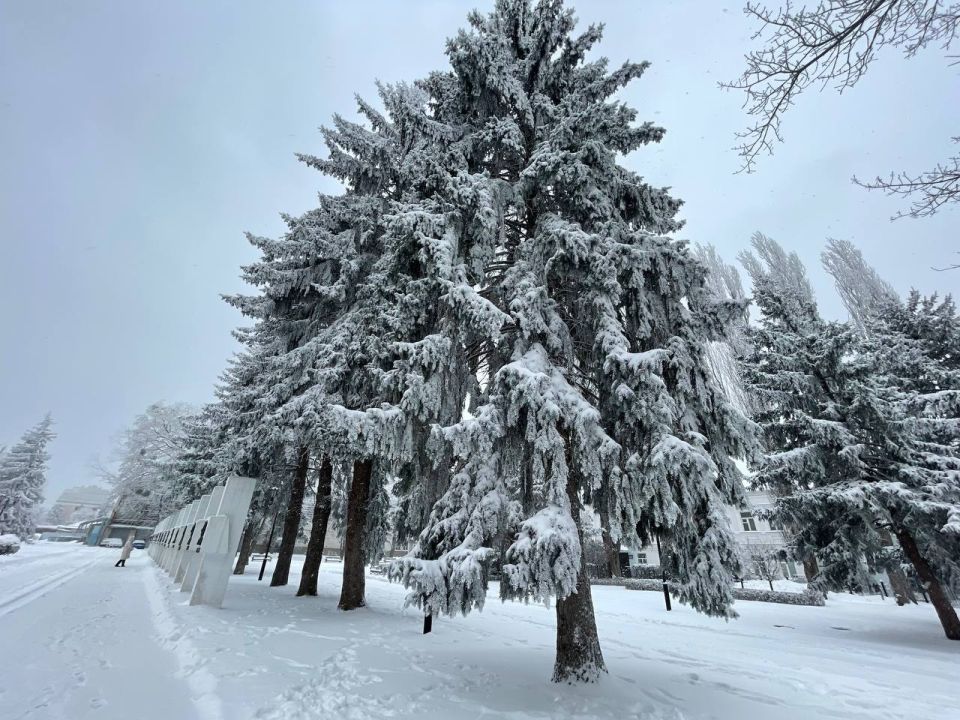 �� ����������� ������ ������� ������