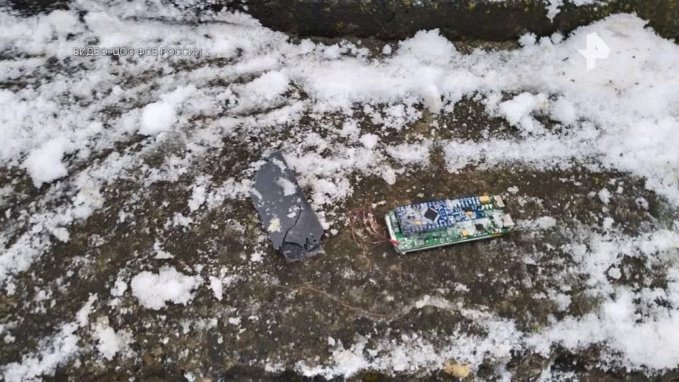 18летняя россиянка готовила подрыв автомобиля российского военнослужащего в Ставрополе