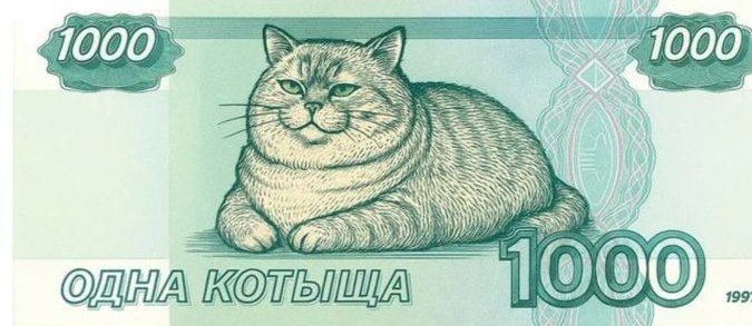 � �� �� ��������� ��������� ����� ������������