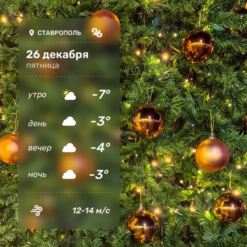 ������ ����, ������������. ������ ����� �������! ��������� �ࠫ������26� | �����������