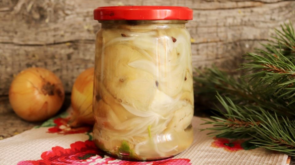 ����� ������ �� ������� ����� � �����