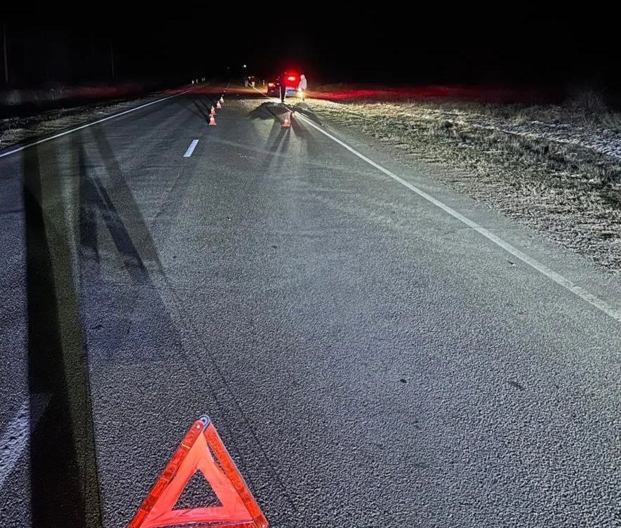 Ночью в Труновском округе под колёсами легковушки погиб пешеход Ночью в Труновском округе под колёсами легковушки погиб пешеход