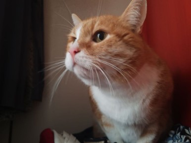 ����� ��� � �������� �������� ���� ���