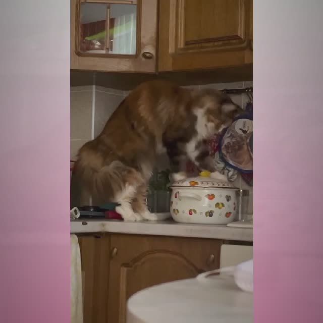 ������� ������� ������! ������ ��� �������, � ������� ���������! ������������!