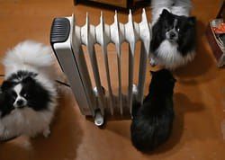 Авария лишила тепла и горячей воды десятки домов в Кисловодске