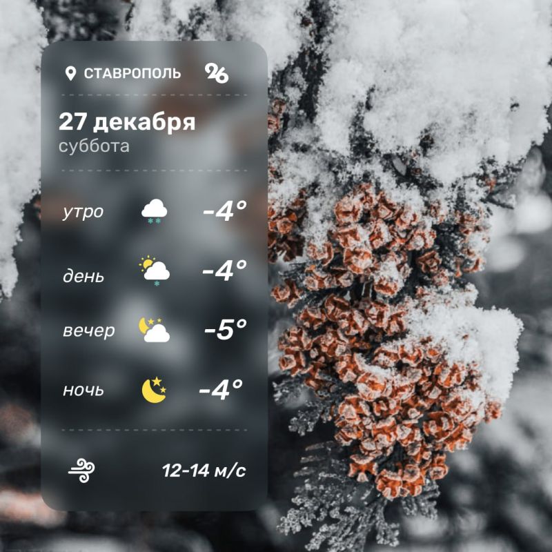 ������ ����, ������������!