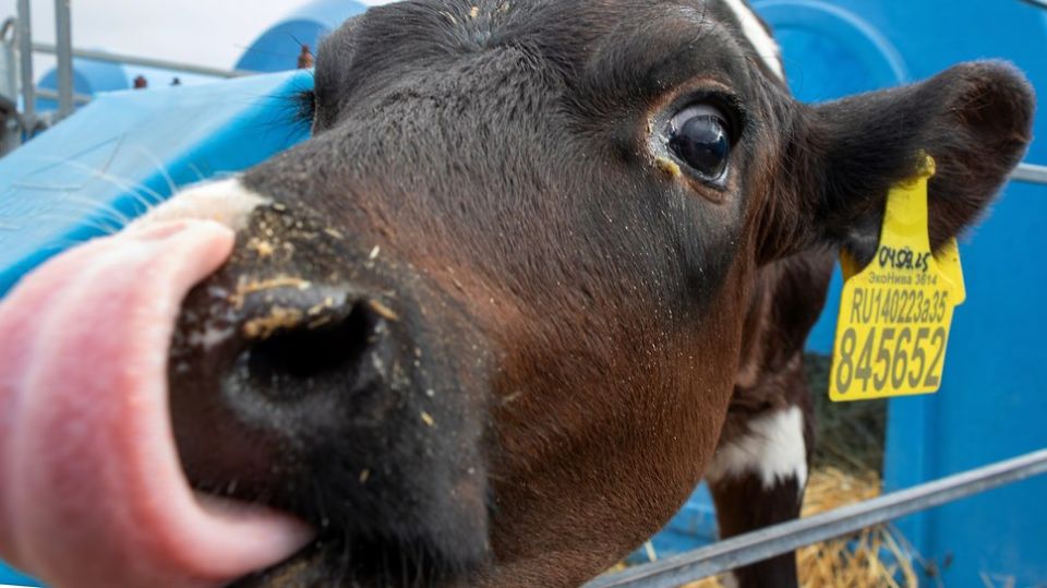 ������������ ������ � ��������� ������ ����������� ������� � 2,7 ���� � 2025 ����