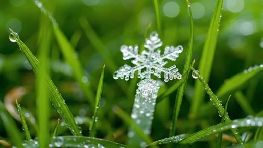 По данным синоптиков, завтра на Ставрополье местами снег, мокрый снег, утром туман, гололёдно-изморозевые явления, на дорогах гололедица