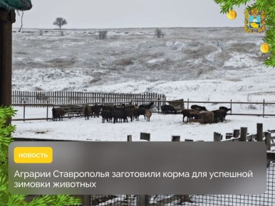 ������������������ ��������������� ���� ������������� � �������