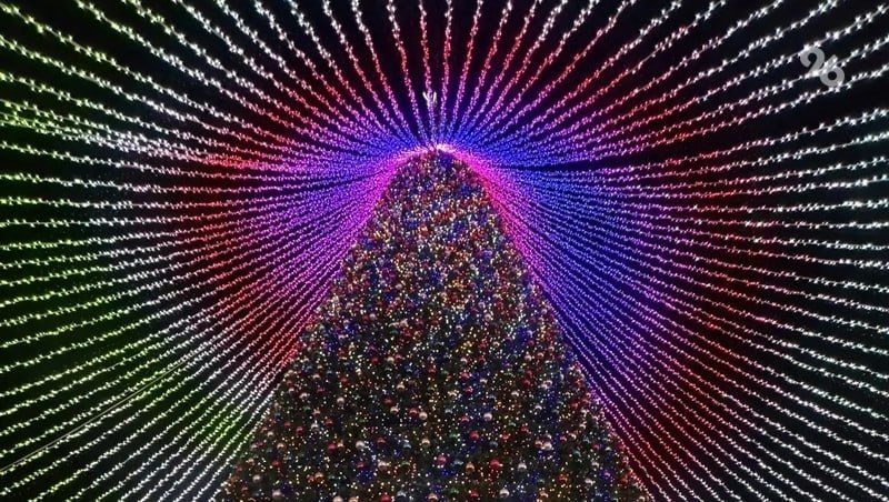 ������������ ���������� ����������� �������