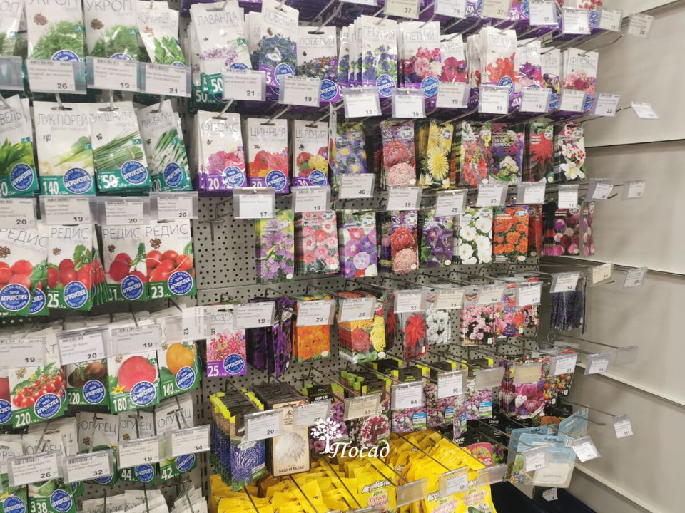 ������� ������: ����������� ������� � ������ 2025 ����