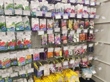 ������� ������: ����������� ������� � ������ 2025 ����