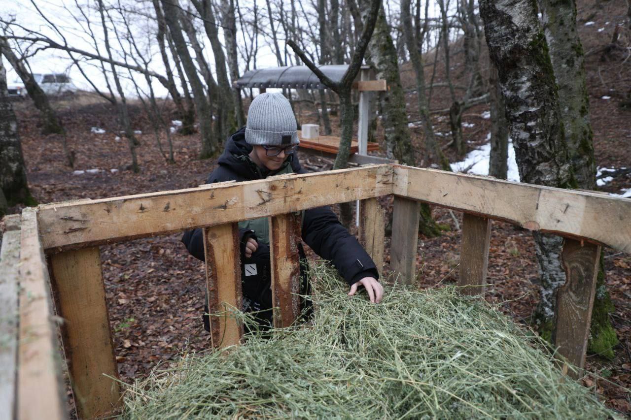 Встретился с егерем и научился делать кормушки для животных - мечта школьника из Пятигорска исполнилась благодаря «Ёлке желаний» Встретился с егерем и научился делать кормушки для животных - мечта школьника из Пятигорска исполнилась благодаря «Ёлке желаний»