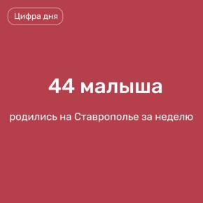 Ставрополь за неделю заметно прибавил