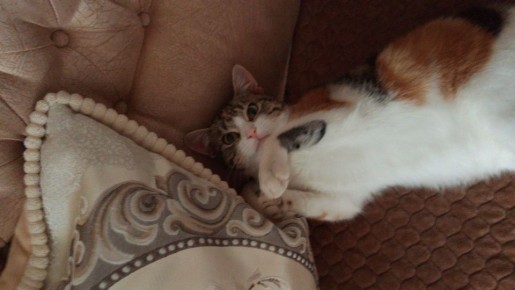 ������� ������ ���� ������������� ���! ���������� �������� ��� � ���� ����, ����� ������