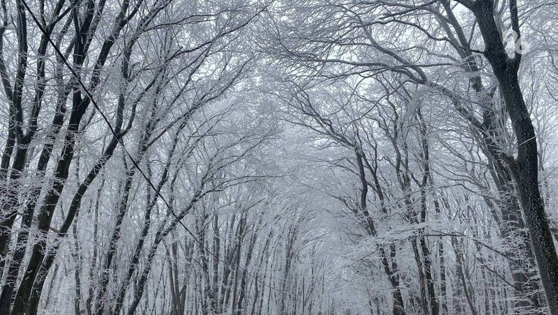 ����� ��� �������� � ����� ������������ ����, ������� ���������� �� ����������� �� 3 ������