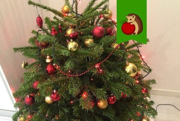 ��� ������� ������� ���������� ����: ������� ���� � ����������� ���