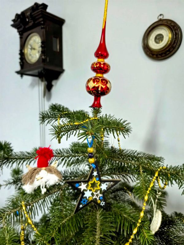 Зелёные красавицы в музее-усадьбе В.И Смирнова в Ставрополе