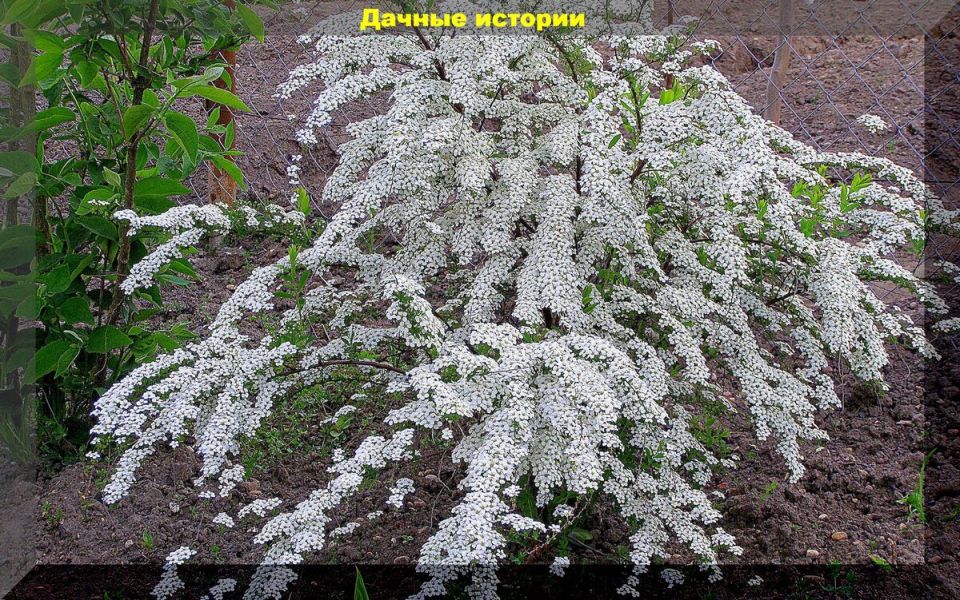 ������������� �������� ��� ������ ����: ��� ������� �������� ����� ��� ������ ������