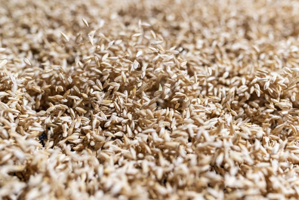 � �������������� ���� ������� � 2025 ���� ��������� 10,6 ��� � �������� � ������������ �������, ������� ���� ������� ������ �� ����� ����������