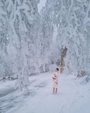 ������ ������ �� ���� ������ � ����������