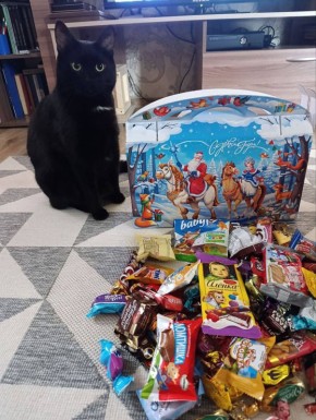 Котик Мурзик все ещё распаковывает новогодние подарки!
