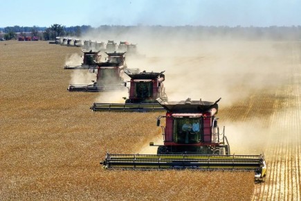 Ставрополье впервые возглавило российский рейтинг по урожаю зерна в 2025 году