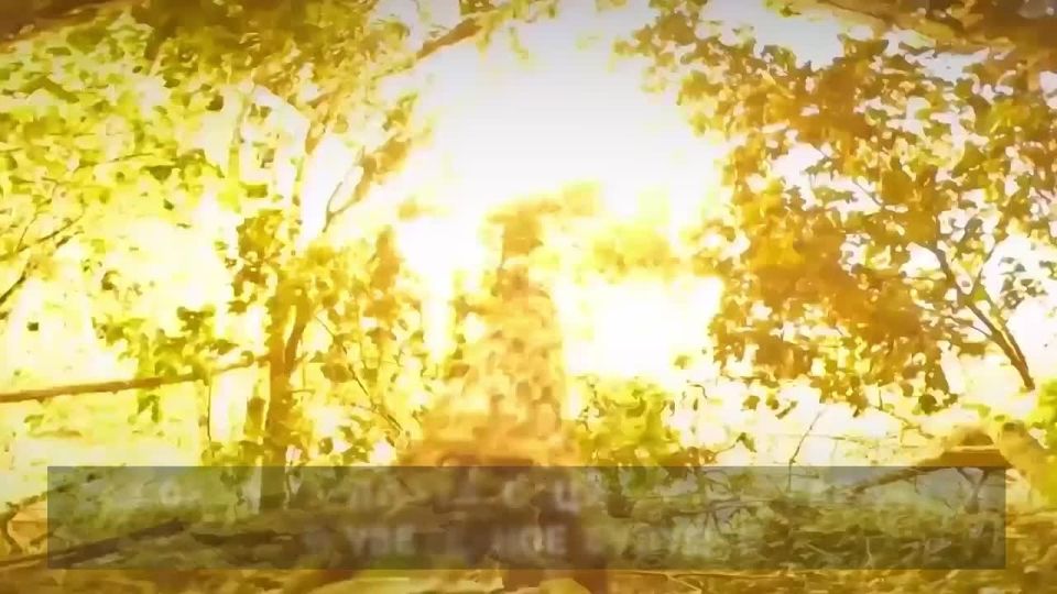 ������ �� ��������� � ������� � �������������� ����!