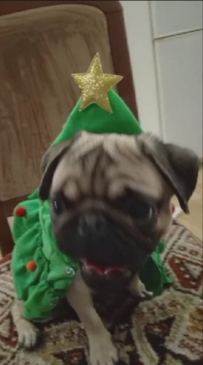 ������ ���� �� ���������� ����������!