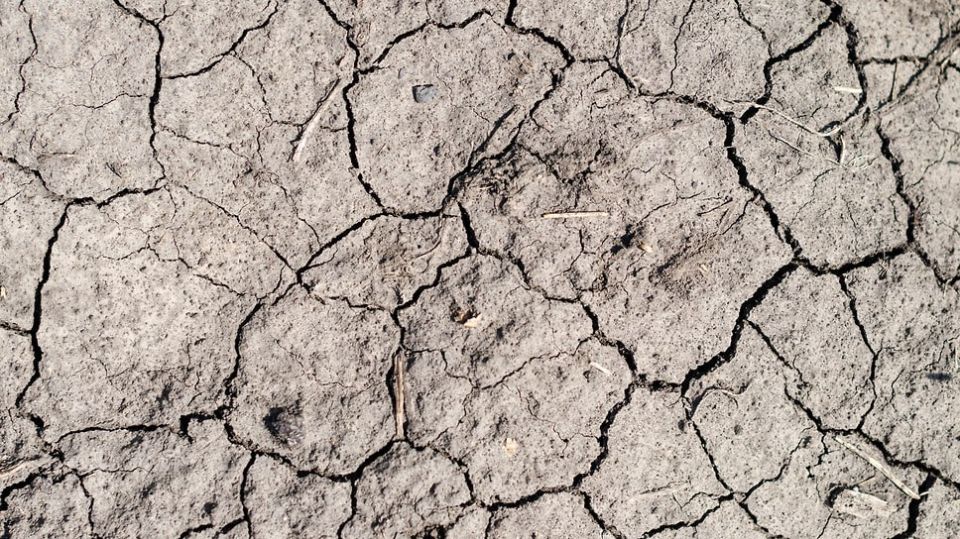 ����������� ������������� 14 �������� ���������� �� 1,4 ���� ������