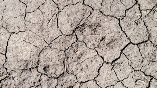 Ставрополье субсидировало 14 проектов мелиорации на 1,4 млрд рублей