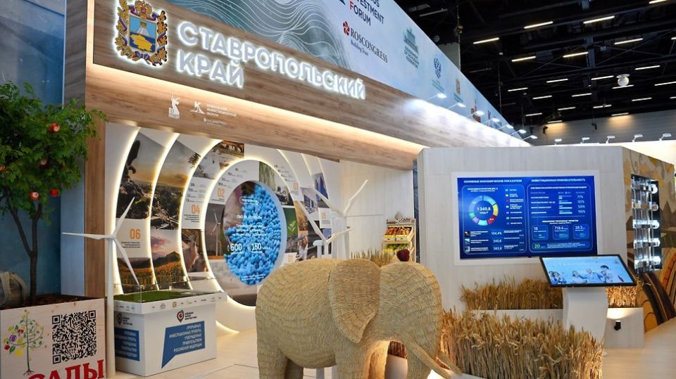 ����� ����������� ������ ���� ���������� ����������� ������������