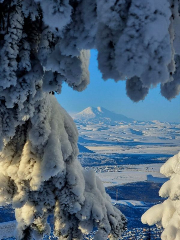 �������� �� ������� �������� ������