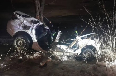 Пассажирка и водитель легковушки погибли после наезда на дерево в Шпаковском округе