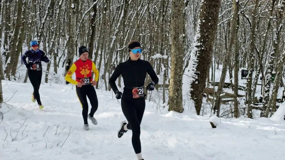 �������-����� � ����������