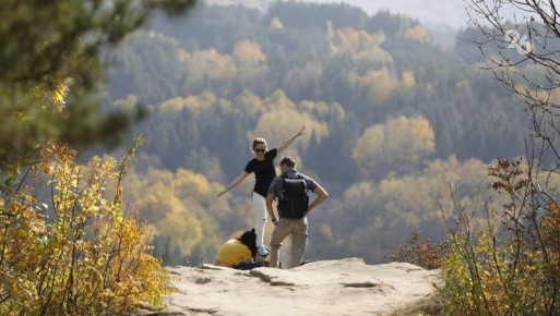 Более 20 тыс. человек приняли участие в бесплатных экскурсиях в Кисловодске в 2025 году