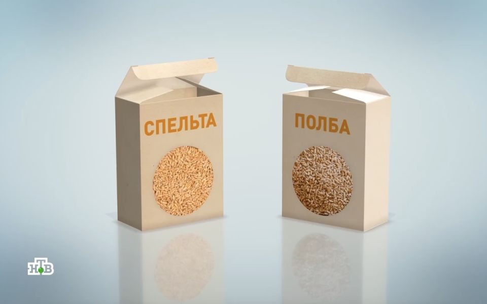 ����� � �������: ��� ������� ���� �� ������� ������