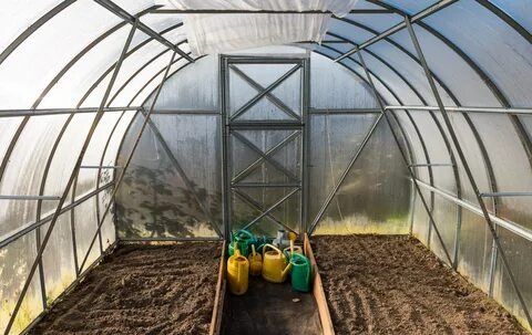 ��� ���������� �������� ������� � ������ ������: ������������ ������