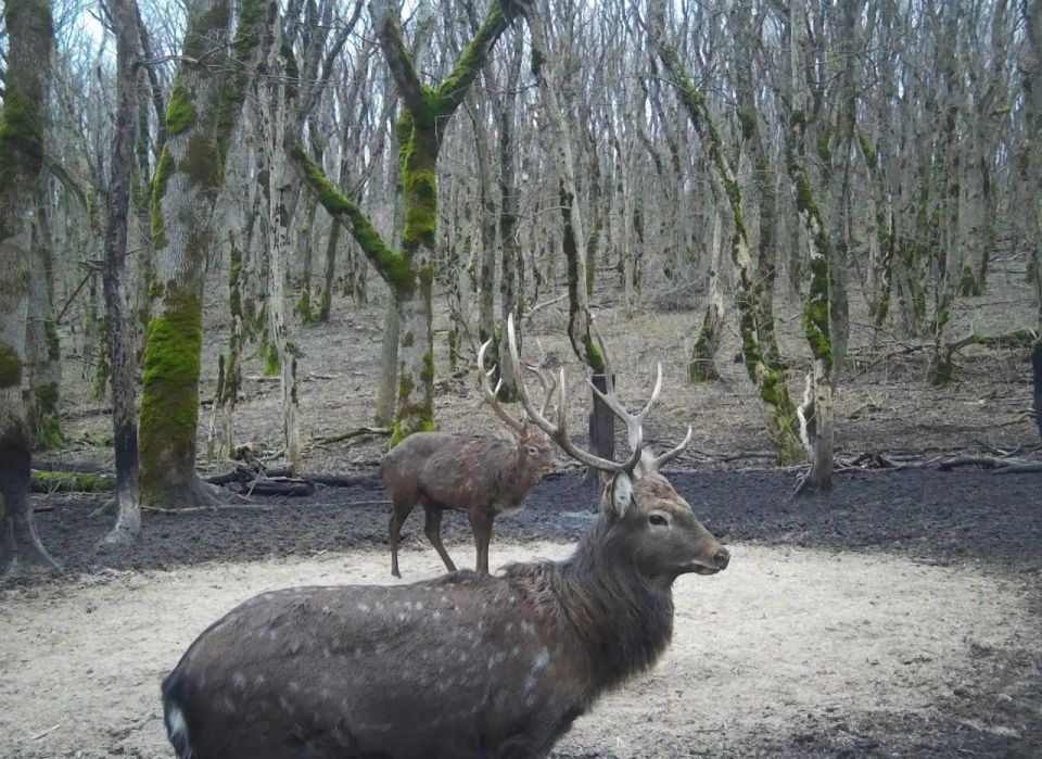 ���� ��������� ����� � ����������� � ��������� "���������������"