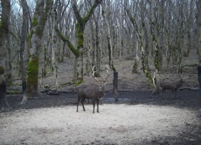 ����������� �� ����������� ������� ��������� ������