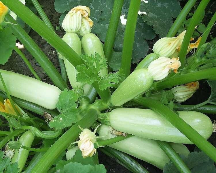 ������� ���������� ������? ����������� � �������� � ��������