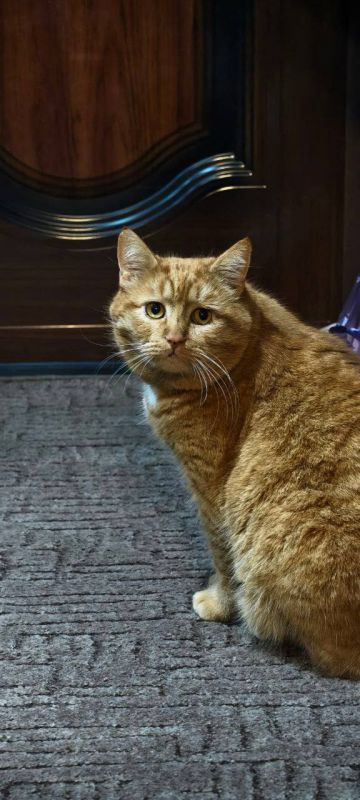 ����� ��������, ��� �������� ���� �� ����-�� ����, �� �� ������ ������� ������� ��������� � ��������