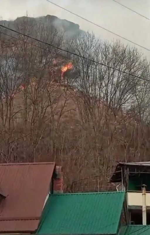 ������� �������: ������� ������ � ����� �����������