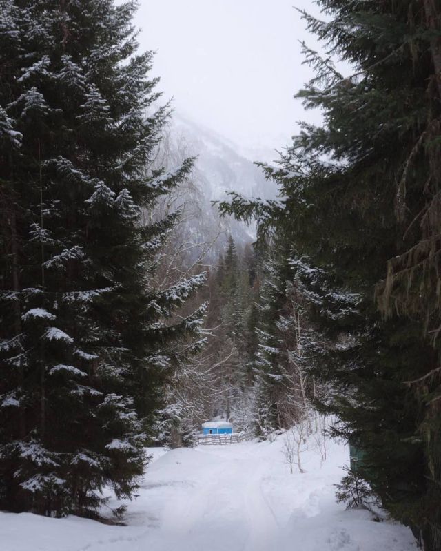 ���������� ������� ������, ���