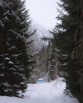 ���������� ������� ������, ���