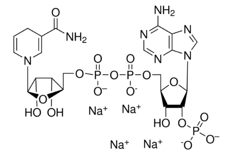 ������ ������������ ������� ����������: ��� NAD ����� �������� ���� �����